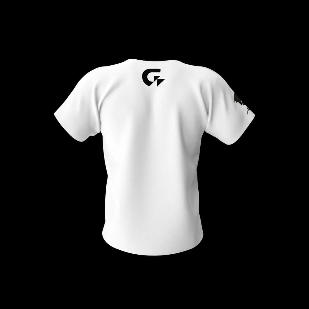 Gigabyte Aorus Men Tshirt 3