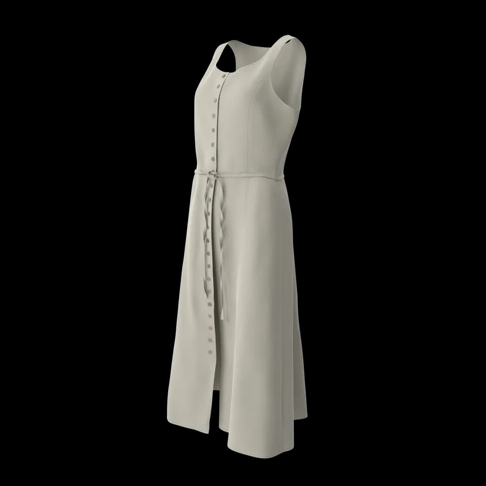 Gray Dress 2